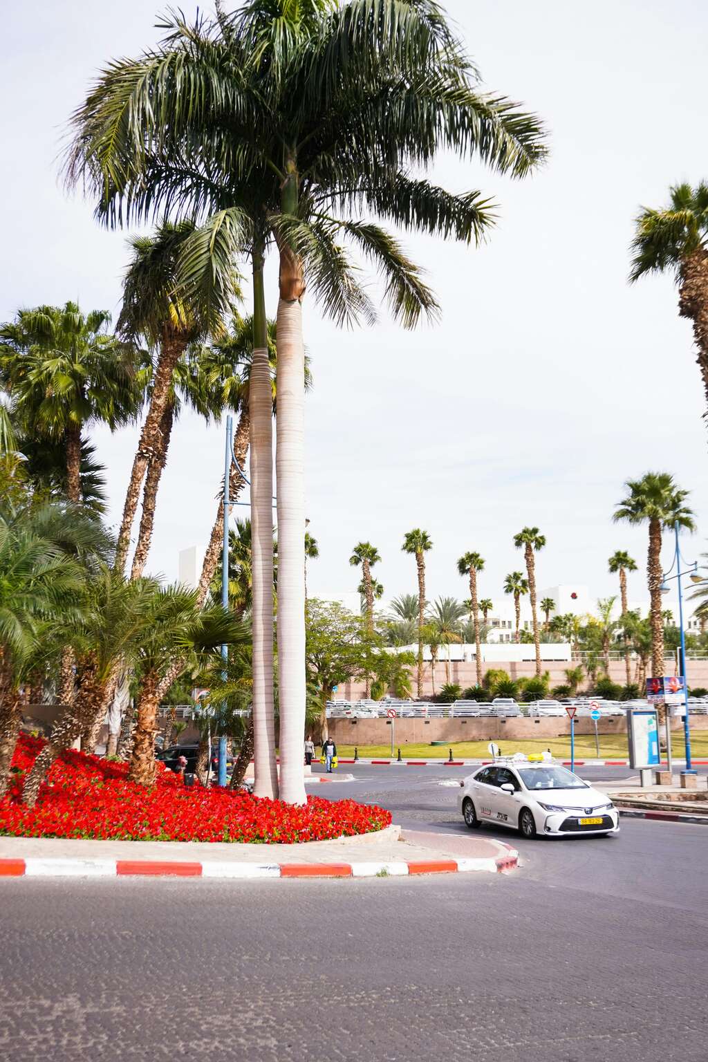 חופשה לוהטת באילת סיפור סקס אמיתי עם נערת ליווי שמגשים כל פנטזיה